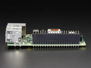 Adafruit GPIO Header for Raspberry Pi A+/B+ - 2x20 Female Header [ADA2222]