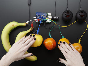 Adafruit Capacitive Touch HAT for Raspberry Pi - Mini Kit - Chicago Electronic Distributors
 - 2