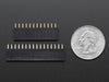 Feather Header Kit - 12-pin and 16-pin Female Header Set - Chicago Electronic Distributors
 - 5