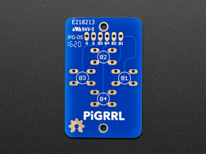 PiGrrl Zero Custom Gamepad PCB