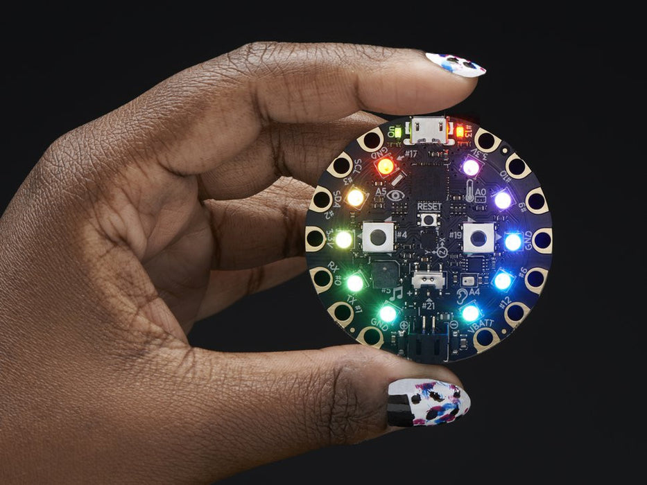 Circuit Playground - Developer Edition