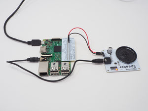Amplified Speaker Kit for Raspberry Pi
